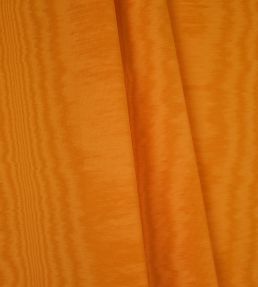 Galatee Fabric by Casal Narcisse