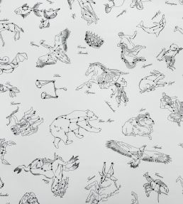 Galileo Fabric by Casal Jour