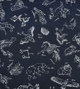 Galileo Fabric by Casal Nuit