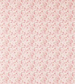 Gamthi Fabric by Clarke & Clarke Blush