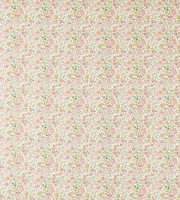 Gamthi Fabric by Clarke & Clarke Sage/Blush