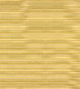 Gelato Fabric by Warwick Zest