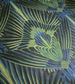 Gershwing Wallpaper by Divine Savages Parakeet