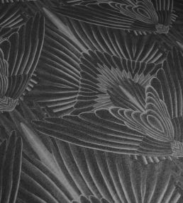Gershwing Wallpaper by Divine Savages Raven
