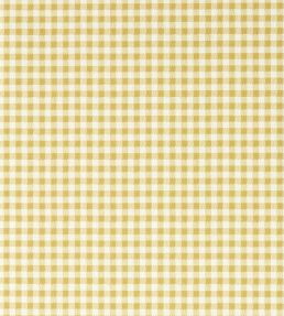 Gingham Wallpaper by Sanderson Wild Honey