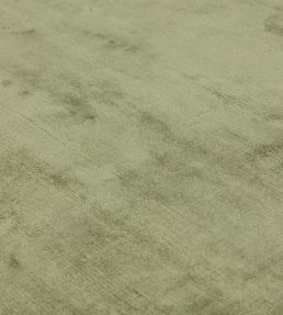Asiatic Gleam rug Sage GLEA160230SAGE Sage