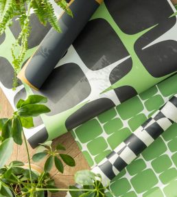 Going Lohko Wallpaper by Scion Juniper / Liquorice