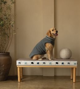Goldador Boucle Border Trimming by Samuel & Sons Indigo