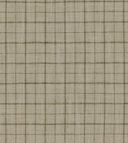 Goteberg Fabric by Warwick Lichen
