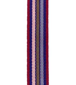 Gouache Stripe Braid Trimming by Ian Mankin Claret