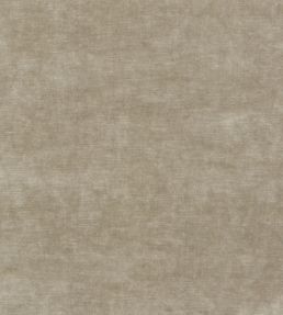 Kings Velvet Fabric by GP & J Baker Parchment