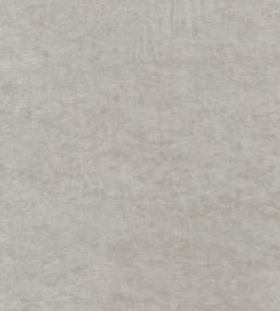 Kings Velvet Fabric by GP & J Baker Silver
