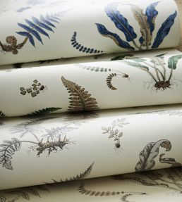 Ferns Wallpaper by GP & J Baker Original Green