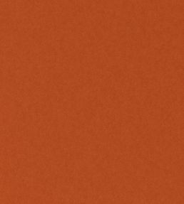 Granada Fabric by Wemyss Paprika