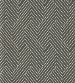 Grassetto Wallpaper by Clarke & Clarke Charcoal