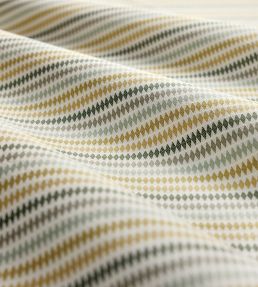 Grove Stripe Fabric by Clarke & Clarke Forest/Mustard/Sage