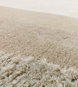 Asiatic Halo rug Calico HALO200290CALI Calico