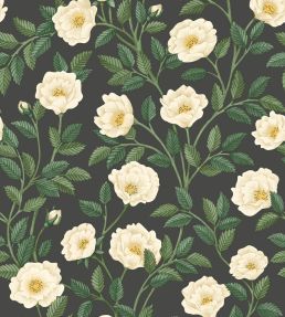 Hampton Roses Wallpaper by Cole & Son Cream Forest