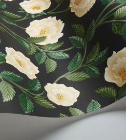 Hampton Roses Wallpaper by Cole & Son Cream Forest