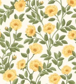 Hampton Roses Wallpaper by Cole & Son Marigold