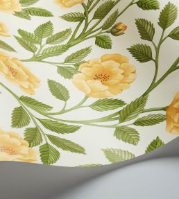Hampton Roses Wallpaper by Cole & Son Marigold