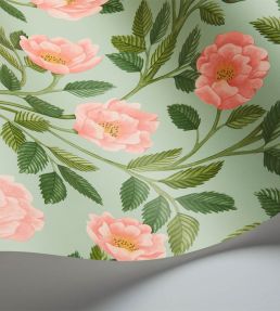 Hampton Roses Wallpaper by Cole & Son Rose Leaf