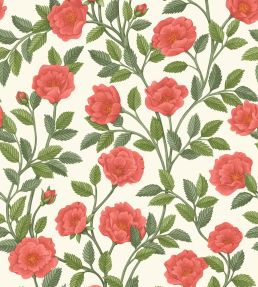 Hampton Roses Wallpaper by Cole & Son Rouge Spring
