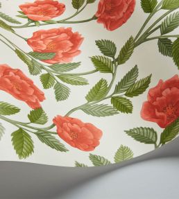 Hampton Roses Wallpaper by Cole & Son Rouge Spring