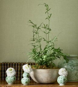 Hampton Wallpaper by Thibaut Apple Green
