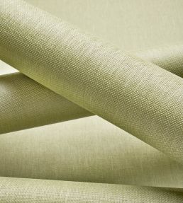 Hampton Wallpaper by Thibaut Apple Green