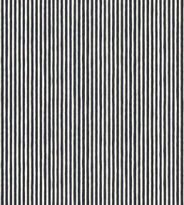 Hand Painted Stripe Wallpaper by Josephine Munsey Perta/Clarke White