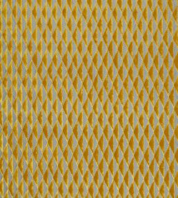 Irradiant Fabric by Harlequin Gold
