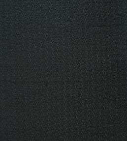 Tectrix Fabric by Harlequin Jet