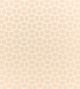 Glyptic Fabric by Harlequin Buff