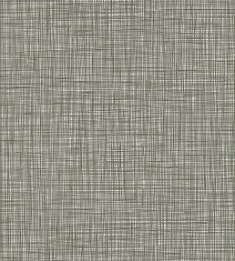 Scribble Wallpaper by Orla Kiely 426