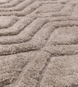 Asiatic Harrison rug Greige HARR120170GREI Greige