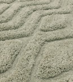 Asiatic Harrison rug Sage HARR120170SAGE Sage