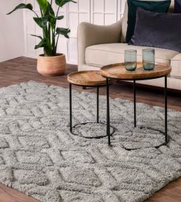 Asiatic Harrison rug Silver HARR120170SILV Silver