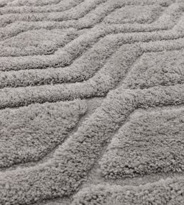 Asiatic Harrison rug Silver HARR120170SILV Silver