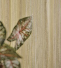 Haze Fabric by Christopher Farr Cloth Lemon
