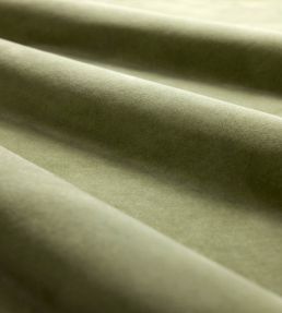 Heatherton Velvet Fabric by Harlequin Aloe