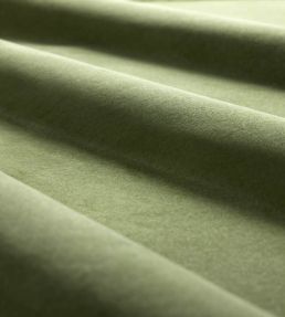 Heatherton Velvet Fabric by Harlequin Fern