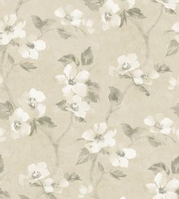 Helen's Flower Wallpaper by Borastapeter 84