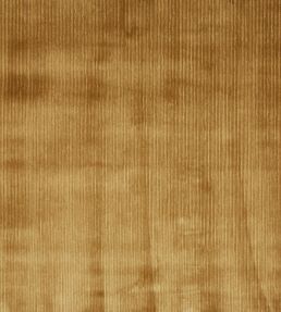 Helix Fabric by Prestigious Textiles Honey