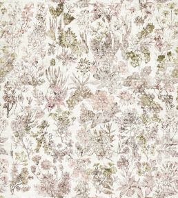 Herbaria Fabric by Osborne & Little Blush