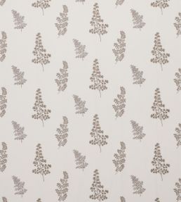 Herbarium Fabric by Clarke & Clarke Pebble