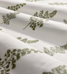 Herbarium Fabric by Clarke & Clarke Sage