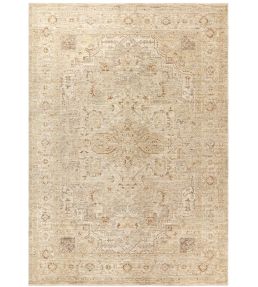 Asiatic Heriz Serapi rug Beige HERI080160HE01 Beige