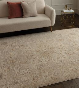 Asiatic Heriz Serapi rug Beige HERI080160HE01 Beige