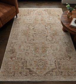 Asiatic Heriz Serapi rug Copper HERI080160HE03 Copper
